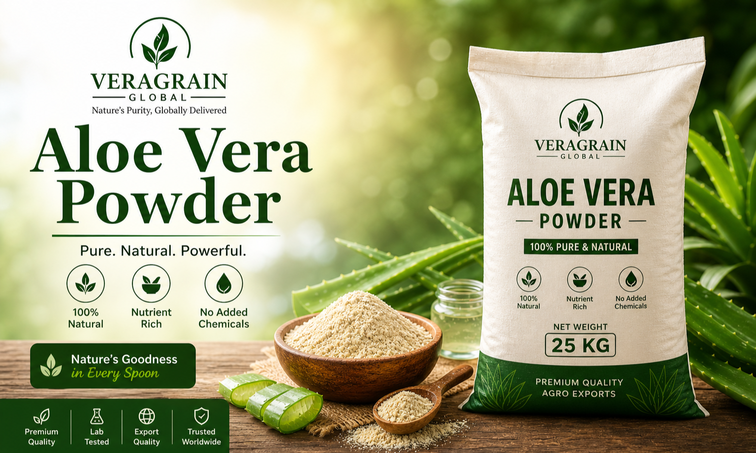 Aloe Vera Powder