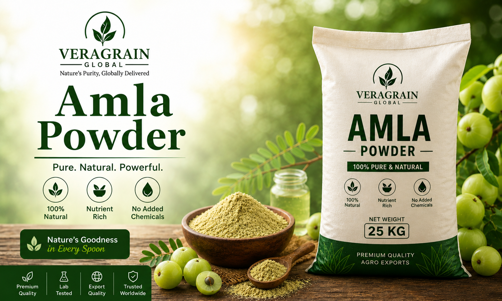 Amla Powder